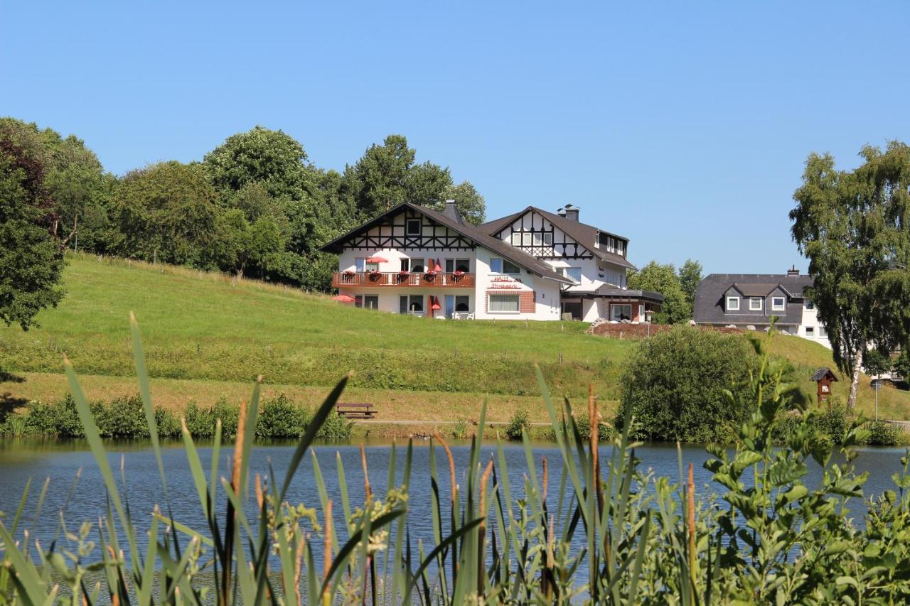 Appartamento Haus Am Stryckpark Willingen  Esterno foto